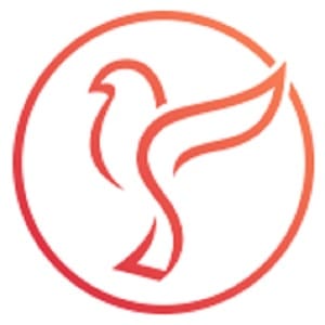 کد تخفیف سره گالری